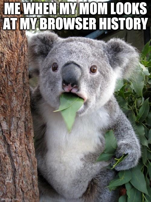 Crap!!! | ME WHEN MY MOM LOOKS AT MY BROWSER HISTORY | image tagged in memes,surprised koala | made w/ Imgflip meme maker