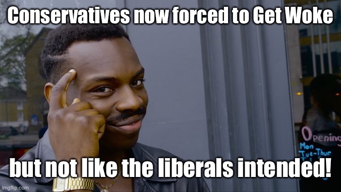 You can't if you don't | Conservatives now forced to Get Woke but not like the liberals intended! | image tagged in you can't if you don't | made w/ Imgflip meme maker