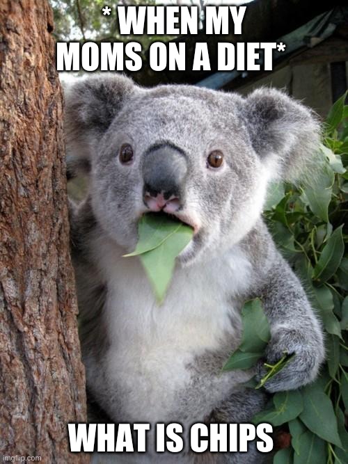 Surprised Koala Meme | * WHEN MY MOMS ON A DIET*; WHAT IS CHIPS | image tagged in memes,surprised koala | made w/ Imgflip meme maker