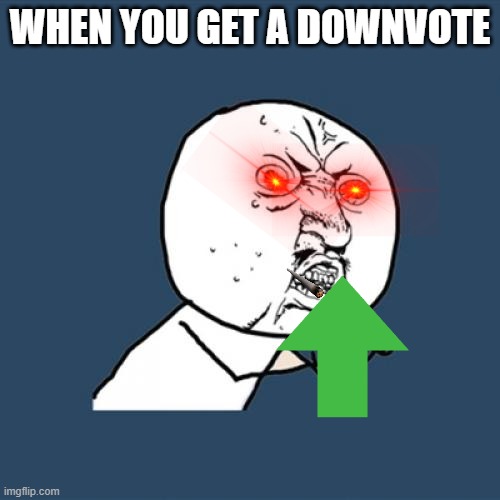 Y U No | WHEN YOU GET A DOWNVOTE | image tagged in memes,y u no | made w/ Imgflip meme maker