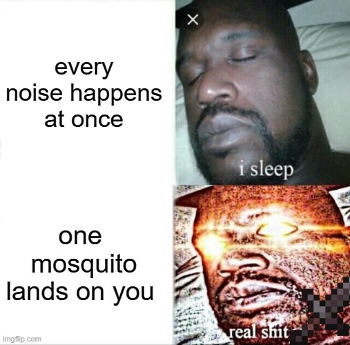 Sleeping Shaq Meme | every noise happens at once; one  mosquito lands on you | image tagged in memes,sleeping shaq | made w/ Imgflip meme maker