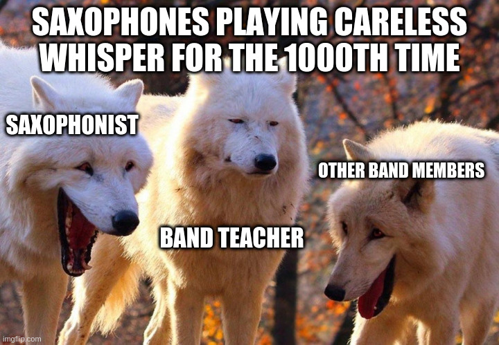 2/3 wolves laugh | SAXOPHONES PLAYING CARELESS WHISPER FOR THE 1000TH TIME; SAXOPHONIST; OTHER BAND MEMBERS; BAND TEACHER | image tagged in 2/3 wolves laugh | made w/ Imgflip meme maker