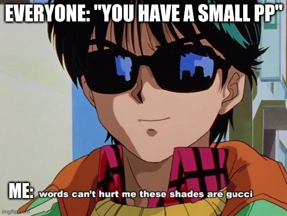 I don't need friends they disappoint me | EVERYONE: "YOU HAVE A SMALL PP"; ME: | image tagged in anime,sunglasses | made w/ Imgflip meme maker