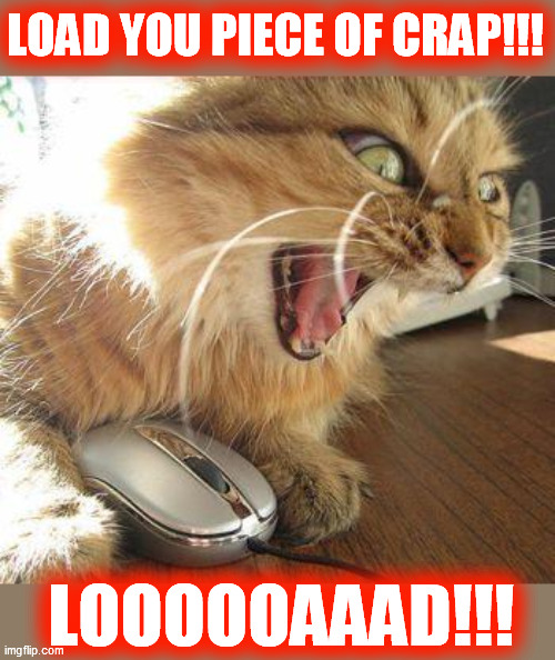 angry cat | LOAD YOU PIECE OF CRAP!!! LOOOOOAAAD!!! | image tagged in angry cat,me irl | made w/ Imgflip meme maker
