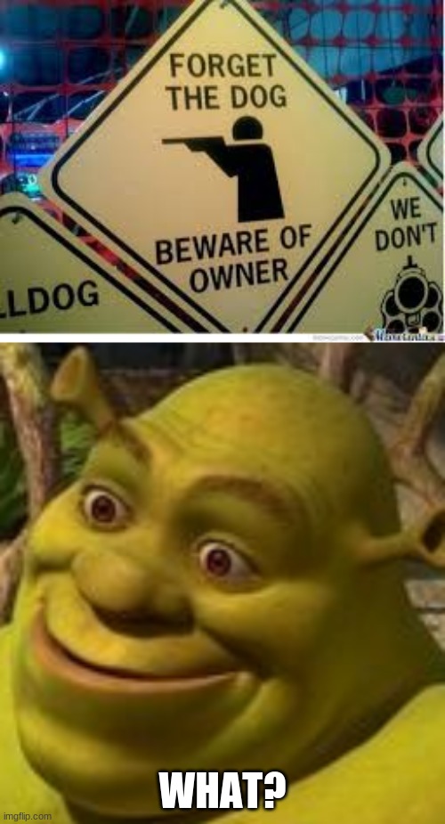 Beware | WHAT? | image tagged in shrek face | made w/ Imgflip meme maker