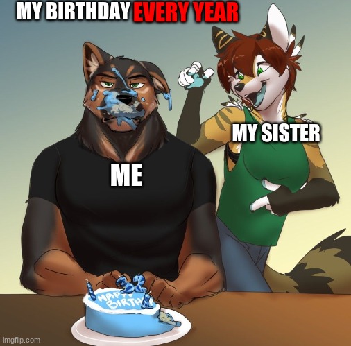 I seriously hate my B-day lol | MY BIRTHDAY; EVERY YEAR; MY SISTER; ME | image tagged in furries,furry,memes,funny | made w/ Imgflip meme maker