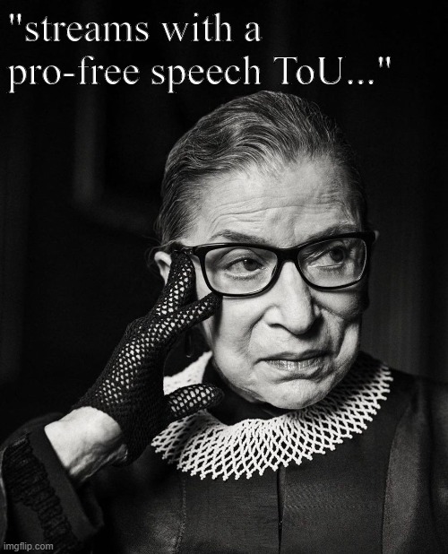 Those running for ImgFlip's President on this platform should consider that plenty of toxic streams already exist on ImgFlip | "streams with a pro-free speech ToU..." | image tagged in rbg black white,free speech,freedom of speech,streams,meme stream,meanwhile on imgflip | made w/ Imgflip meme maker