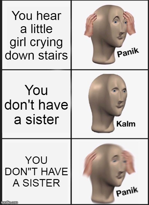 Panik Kalm Panik | You hear a little girl crying down stairs; You don't have a sister; YOU DON"T HAVE A SISTER | image tagged in memes,panik kalm panik | made w/ Imgflip meme maker