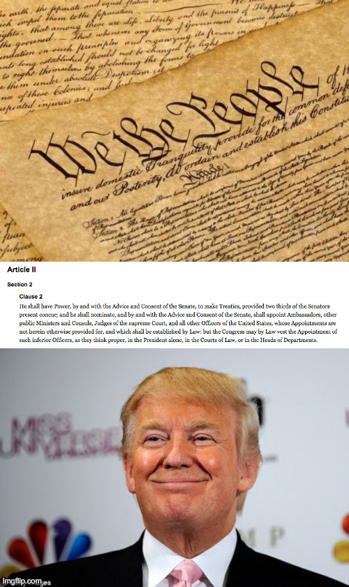 image tagged in constitution,donald trump approves | made w/ Imgflip meme maker