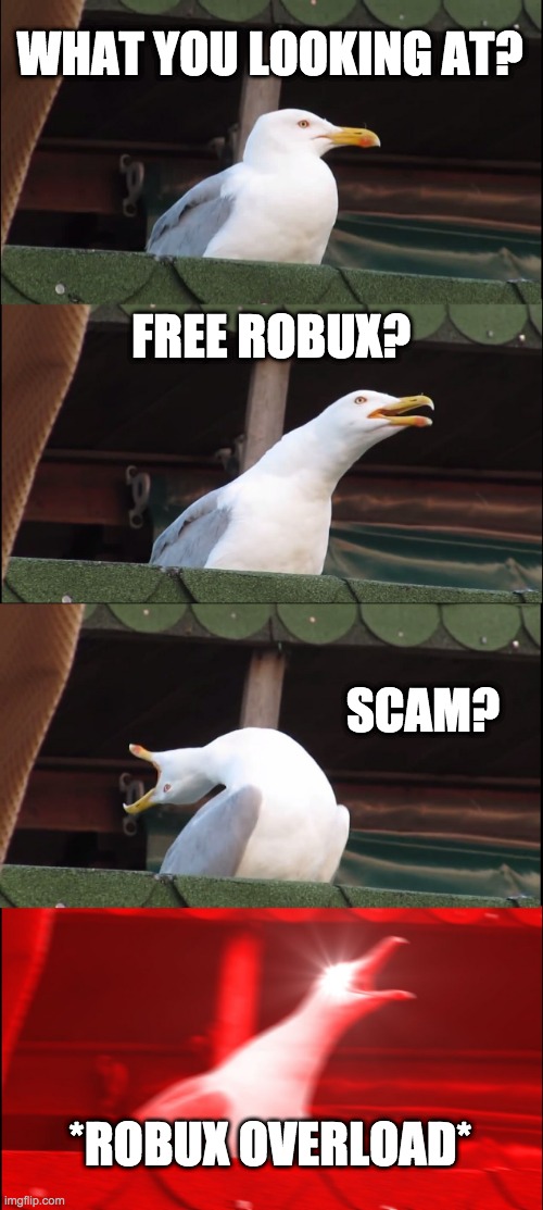overload robux | WHAT YOU LOOKING AT? FREE ROBUX? SCAM? *ROBUX OVERLOAD* | image tagged in memes,inhaling seagull | made w/ Imgflip meme maker