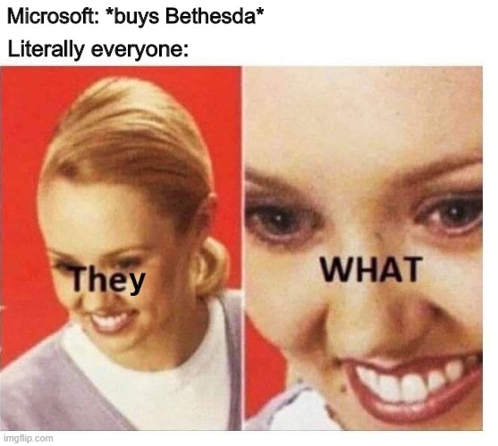 They what | Microsoft: *buys Bethesda*; Literally everyone: | image tagged in they what,microsoft,bethesda | made w/ Imgflip meme maker