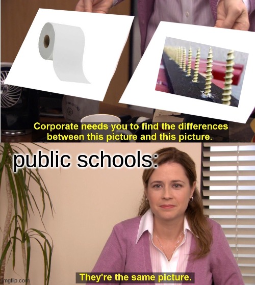 They're The Same Picture | public schools: | image tagged in memes,they're the same picture | made w/ Imgflip meme maker