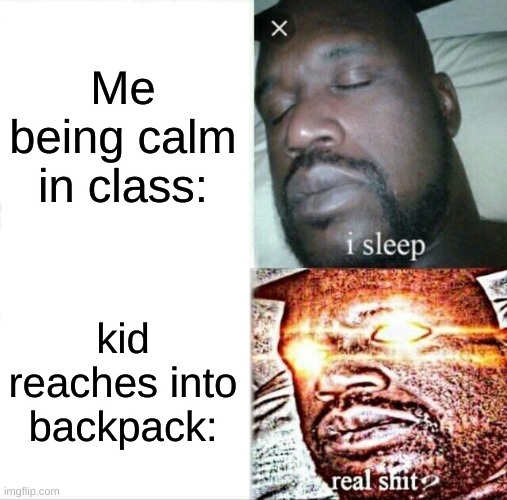 Sleeping Shaq | Me being calm in class:; kid reaches into backpack: | image tagged in memes,sleeping shaq | made w/ Imgflip meme maker