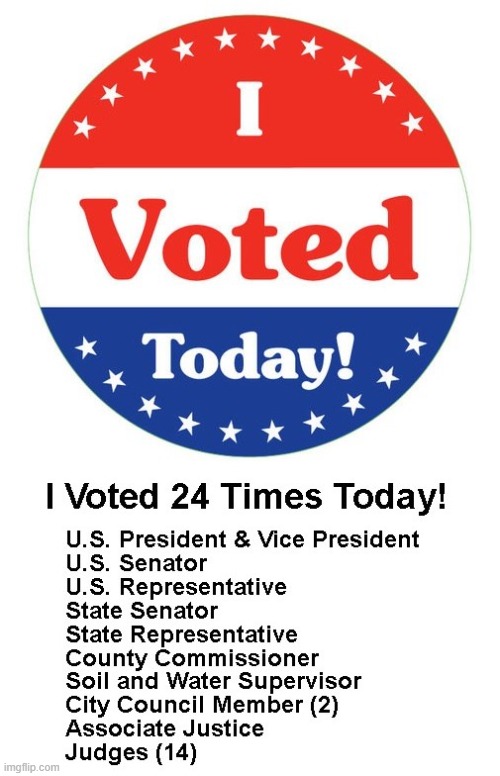 Mail-In voting is awesome! I voted 24 times today! | image tagged in election 2020,vote,mail | made w/ Imgflip meme maker