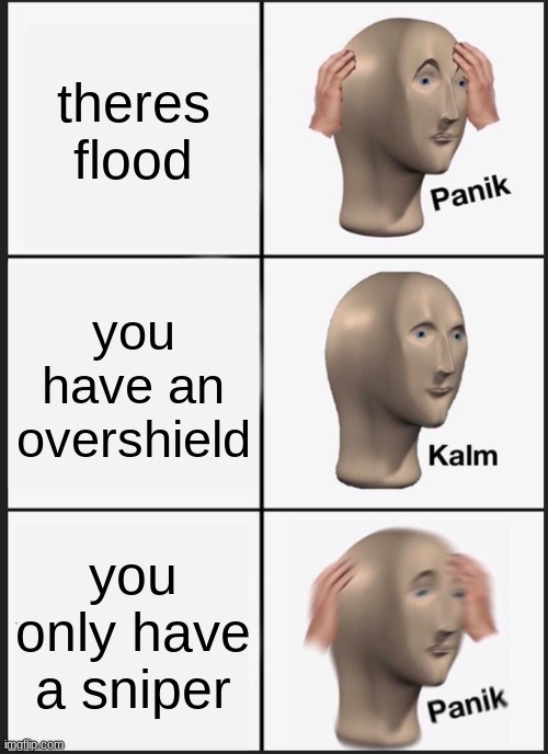 comment yes if you understand | theres flood; you have an overshield; you only have a sniper | image tagged in memes,panik kalm panik | made w/ Imgflip meme maker