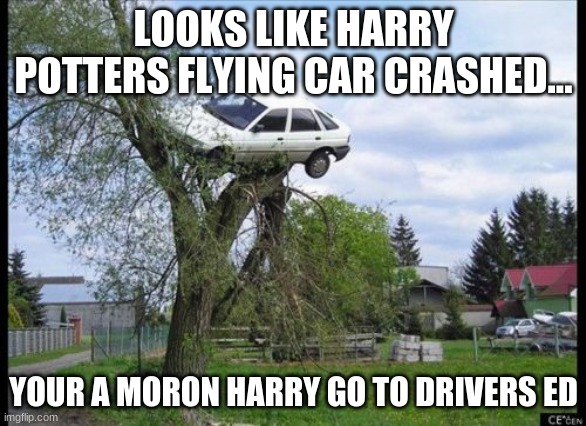 Secure Parking Meme | LOOKS LIKE HARRY POTTERS FLYING CAR CRASHED... YOUR A MORON HARRY GO TO DRIVERS ED | image tagged in memes,secure parking | made w/ Imgflip meme maker