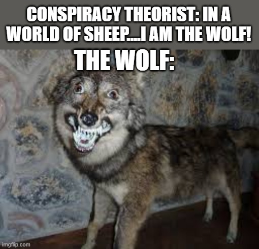 Every time I see a conspiracy...this is what i see | CONSPIRACY THEORIST: IN A WORLD OF SHEEP....I AM THE WOLF! THE WOLF: | image tagged in conspiracy theory,one man wolf pack,sheeple | made w/ Imgflip meme maker