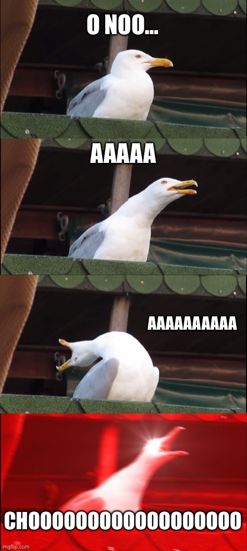 Inhaling Seagull Meme | O NOO…; AAAAA; AAAAAAAAAA; CHOOOOOOOOOOOOOOOOOO | image tagged in memes,inhaling seagull | made w/ Imgflip meme maker