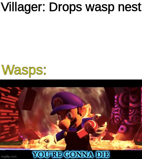 just makin a animal crossing meme | Villager: Drops wasp nest; Wasps: | image tagged in smg3 you're gonna die,animal crossing,memes | made w/ Imgflip meme maker