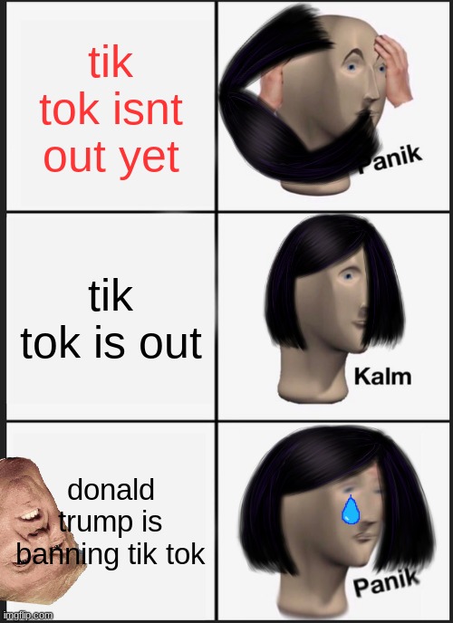 every 12 yo girl | tik tok isnt out yet; tik tok is out; donald trump is banning tik tok | image tagged in memes,panik kalm panik | made w/ Imgflip meme maker