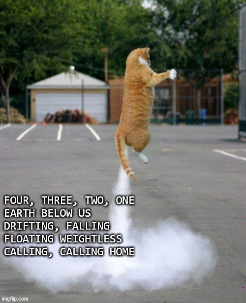 It was a #1 in Germany and Canada and a #14 in the Billboard Hot 100! | FOUR, THREE, TWO, ONE
EARTH BELOW US
DRIFTING, FALLING
FLOATING WEIGHTLESS
CALLING, CALLING HOME | image tagged in rocket cat | made w/ Imgflip meme maker