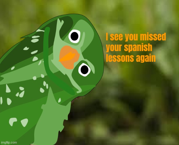 I had to do this as a project for school | image tagged in memes,duolingo bird,school project | made w/ Imgflip meme maker