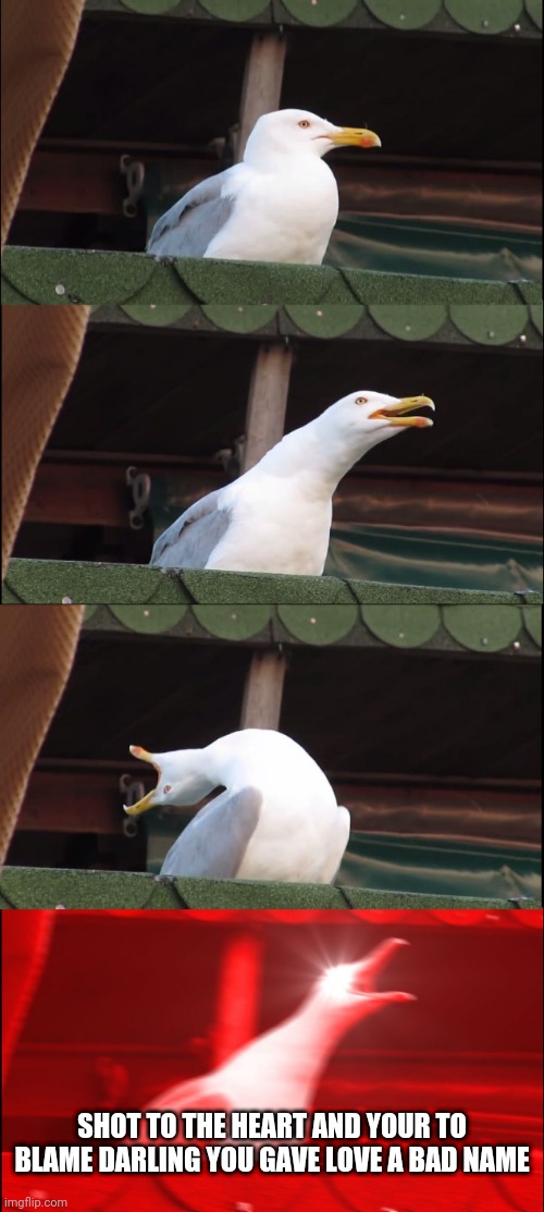 Inhaling Seagull | SHOT TO THE HEART AND YOUR TO BLAME DARLING YOU GAVE LOVE A BAD NAME | image tagged in memes,inhaling seagull | made w/ Imgflip meme maker