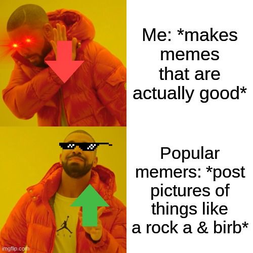 Me vs. Popular Memers | Me: *makes memes that are actually good*; Popular memers: *post pictures of things like a rock a & birb* | image tagged in memes,drake hotline bling,imgflip,upvote,downvote,upvote begging | made w/ Imgflip meme maker