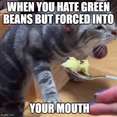 WHEN YOU HATE GREEN BEANS BUT FORCED INTO; YOUR MOUTH | image tagged in cats | made w/ Imgflip meme maker