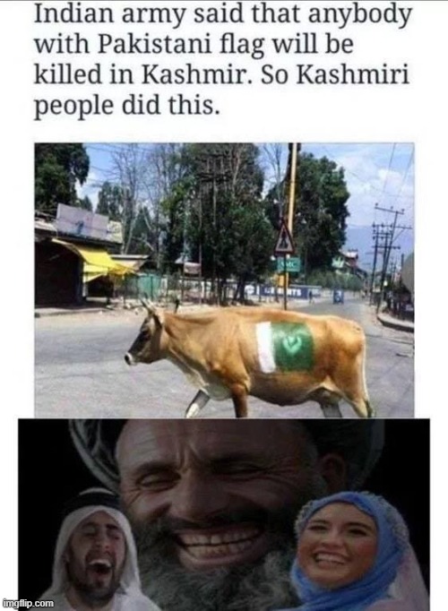 well played kashmiris (repost) | image tagged in india,pakistan,cow,cows,flag,repost | made w/ Imgflip meme maker