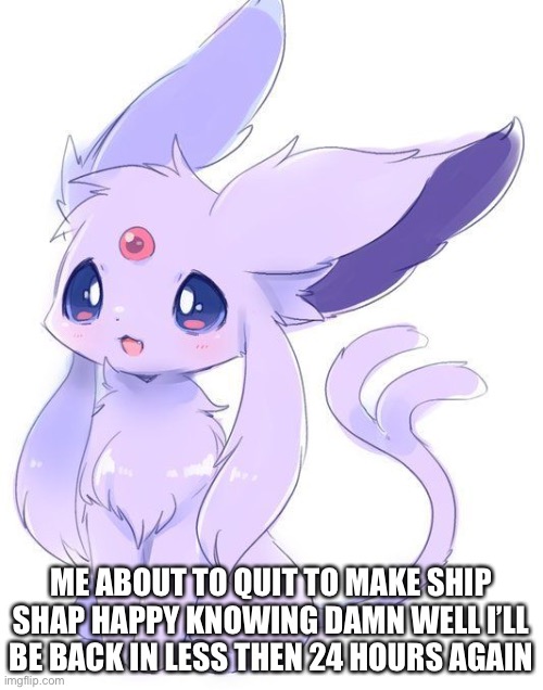 ME ABOUT TO QUIT TO MAKE SHIP SHAP HAPPY KNOWING DAMN WELL I’LL BE BACK IN LESS THEN 24 HOURS AGAIN | made w/ Imgflip meme maker