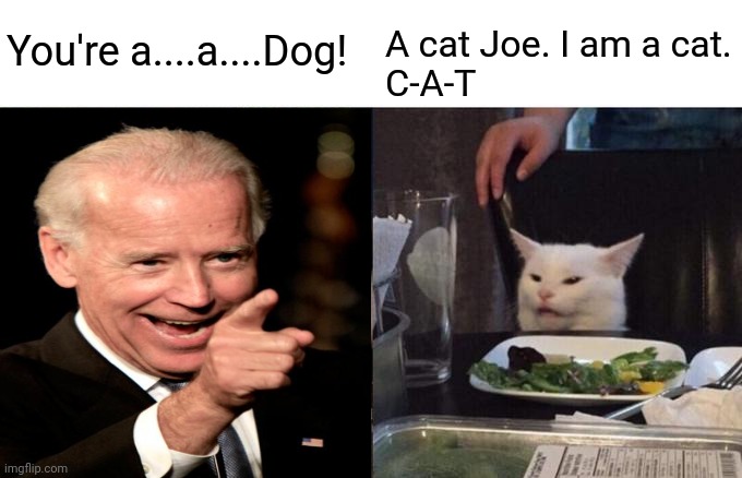 Joe Biden | You're a....a....Dog! A cat Joe. I am a cat.
C-A-T | image tagged in memes,woman yelling at cat,joe biden,cats,dog,election | made w/ Imgflip meme maker