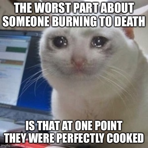 This joke is so dark it’s burnt. | THE WORST PART ABOUT SOMEONE BURNING TO DEATH; IS THAT AT ONE POINT THEY WERE PERFECTLY COOKED | image tagged in crying cat,cooking,humans | made w/ Imgflip meme maker