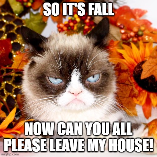 Cat sick of Covid Quarantine | SO IT'S FALL; NOW CAN YOU ALL PLEASE LEAVE MY HOUSE! | image tagged in grumpy cat autumn | made w/ Imgflip meme maker