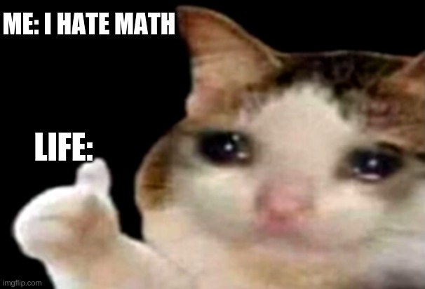 I HATE MATH | ME: I HATE MATH; LIFE: | image tagged in sad cat thumbs up | made w/ Imgflip meme maker