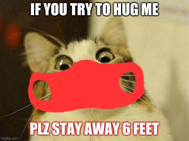 Send this to a random person you know | IF YOU TRY TO HUG ME; PLZ STAY AWAY 6 FEET | image tagged in memes,scared cat | made w/ Imgflip meme maker
