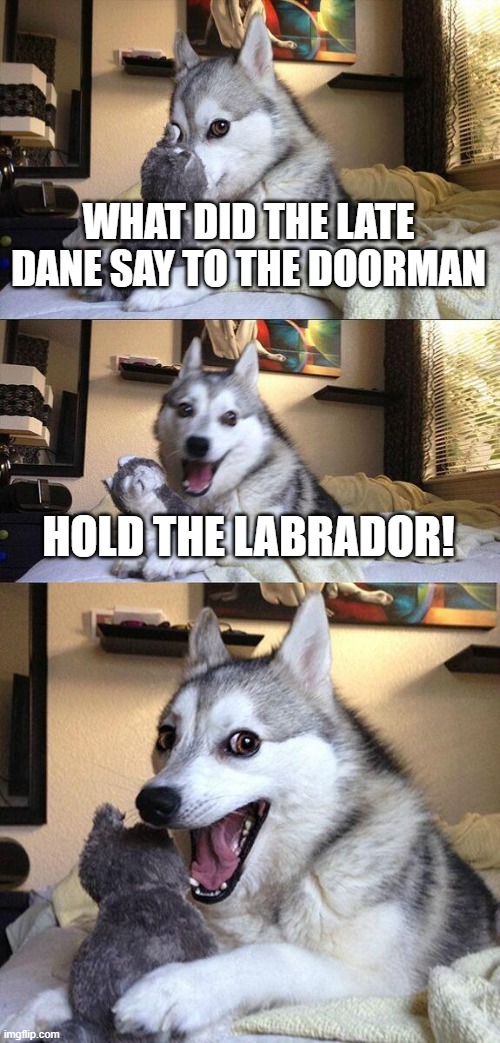 Bad Pun Dog | WHAT DID THE LATE DANE SAY TO THE DOORMAN; HOLD THE LABRADOR! | image tagged in memes,bad pun dog | made w/ Imgflip meme maker