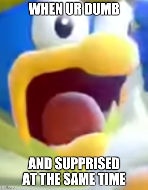 funny | WHEN UR DUMB; AND SUPPRISED AT THE SAME TIME | image tagged in king dedede | made w/ Imgflip meme maker