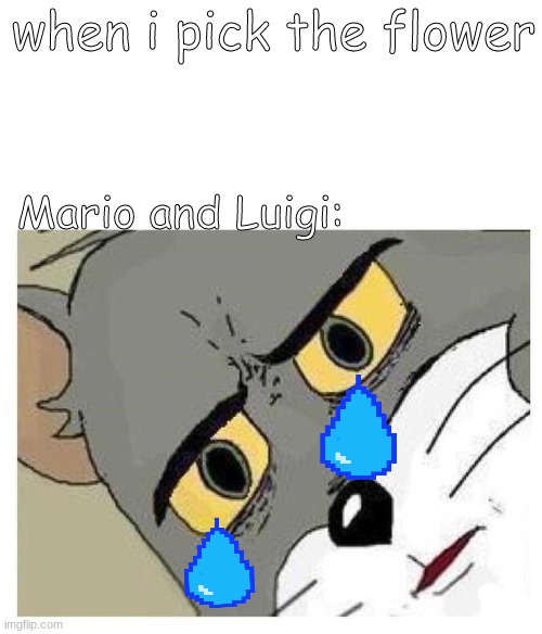 Mario and Luigi be like, | when i pick the flower; Mario and Luigi: | image tagged in unsettled tom,mario | made w/ Imgflip meme maker