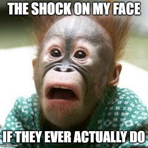 Shocked Monkey | THE SHOCK ON MY FACE IF THEY EVER ACTUALLY DO | image tagged in shocked monkey | made w/ Imgflip meme maker