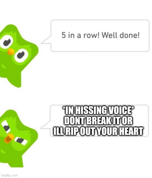 *gasp* duo WHY | *IN HISSING VOICE* DONT BREAK IT OR ILL RIP OUT YOUR HEART | image tagged in duolingo 5 in a row | made w/ Imgflip meme maker