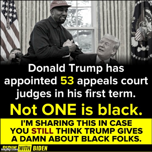 All those appeals court slots that the Republicans held open aren't going to black folks. Interesting stuff man | image tagged in trump,racist | made w/ Imgflip meme maker