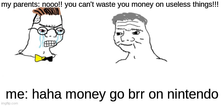 nooo haha go brrr | my parents: nooo!! you can't waste you money on useless things!!! me: haha money go brr on nintendo | image tagged in nooo haha go brrr | made w/ Imgflip meme maker