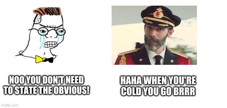 Haha Go Brrr x Captain Obvious | HAHA WHEN YOU'RE COLD YOU GO BRRR; NOO YOU DON'T NEED TO STATE THE OBVIOUS! | image tagged in nooo haha go brrr,captain obvious,memes,crossover,crossover memes,cold | made w/ Imgflip meme maker