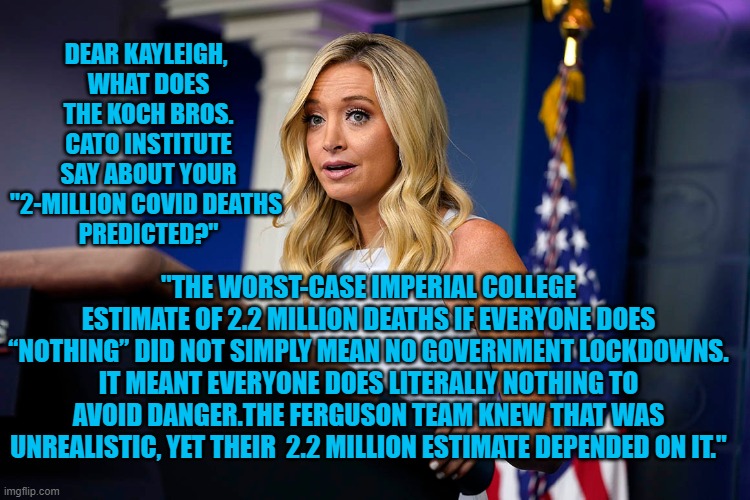 Official Government Disinformation | DEAR KAYLEIGH, 
WHAT DOES THE KOCH BROS. CATO INSTITUTE SAY ABOUT YOUR "2-MILLION COVID DEATHS 
PREDICTED?"; "THE WORST-CASE IMPERIAL COLLEGE ESTIMATE OF 2.2 MILLION DEATHS IF EVERYONE DOES “NOTHING” DID NOT SIMPLY MEAN NO GOVERNMENT LOCKDOWNS. IT MEANT EVERYONE DOES LITERALLY NOTHING TO AVOID DANGER.THE FERGUSON TEAM KNEW THAT WAS UNREALISTIC, YET THEIR  2.2 MILLION ESTIMATE DEPENDED ON IT." | image tagged in politics | made w/ Imgflip meme maker