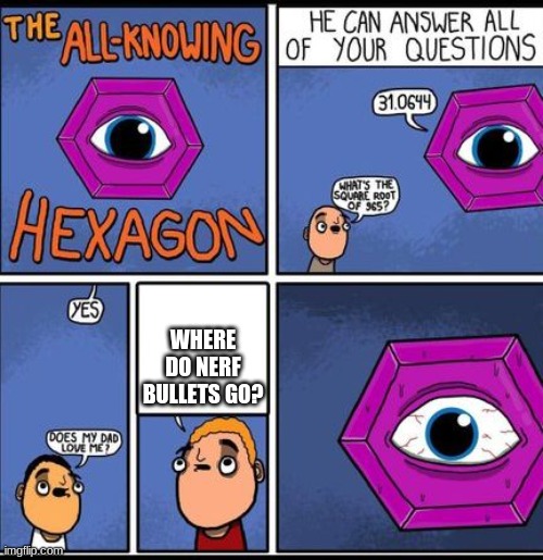 all knowing hexagon | WHERE DO NERF BULLETS GO? | image tagged in all knowing hexagon | made w/ Imgflip meme maker