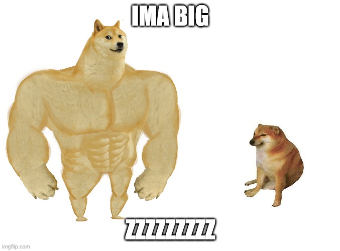 Big dog small dog | IMA BIG; ZZZZZZZZZ | image tagged in big dog small dog | made w/ Imgflip meme maker