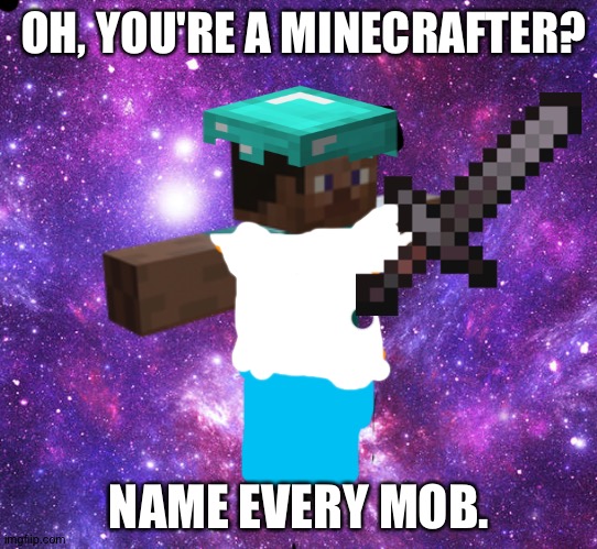 Space Steve | OH, YOU'RE A MINECRAFTER? NAME EVERY MOB. | image tagged in space steve | made w/ Imgflip meme maker