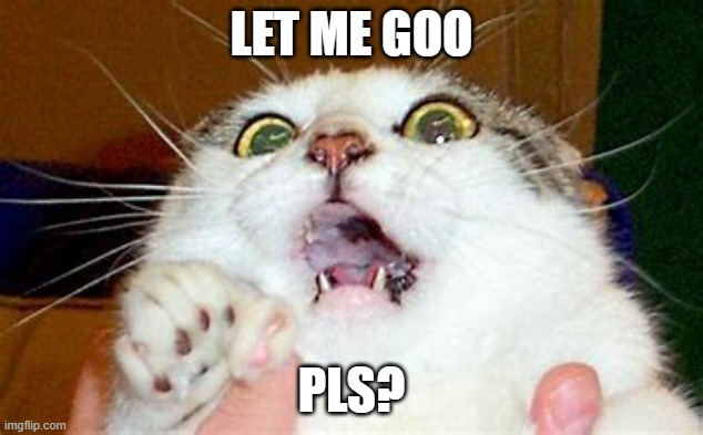 cat | LET ME GOO; PLS? | image tagged in grumpy cat | made w/ Imgflip meme maker