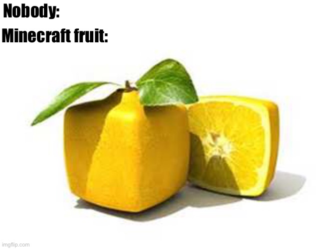 Minecraft fruit | Minecraft fruit:; Nobody: | image tagged in memes,minecraft | made w/ Imgflip meme maker